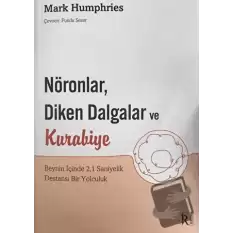 Nöronlar, Diken Dalgalar ve Kurabiye