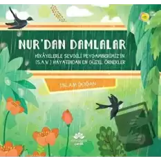 Nur’dan Damlalar