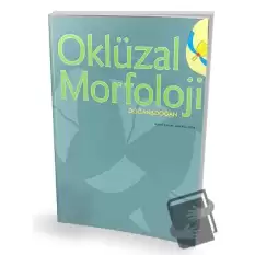 Oklüzal Morfoloji