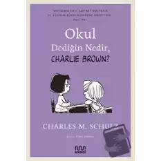 Okul Dediğin Nedir, Charlie Brown?