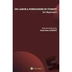 On Labor - Foreigners İn Turkey For Beginners