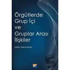 Örgütlerde Grup İçi ve Gruplar Arası İlişkiler