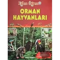 Orman Hayvanları