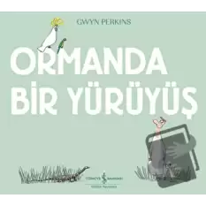 Ormanda Bir Yürüyüş