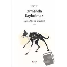 Ormanda Kaybolmak