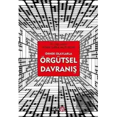 Örnek Olaylarla Örgütsel Davranış