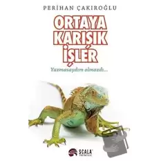 Ortaya Karışık İşler