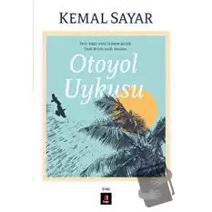 Otoyol Uykusu