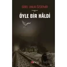 Öyle Bir Haldi