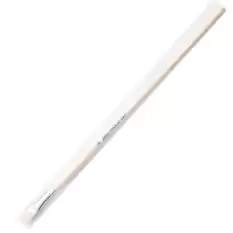 Pebeo Fırça Uzun Bristle Kıl Sert Kıllı Akrilik-Yağlı Boya 258F 06 - 12li Paket