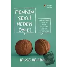 Penisin Şekli Neden Öyle?