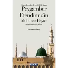 Peygamber Efendimizin Muhtasar Hayatı