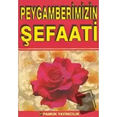 Peygamberimizin Şefaati (Peygamber-008)