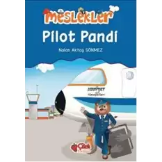 Pilot Pandi