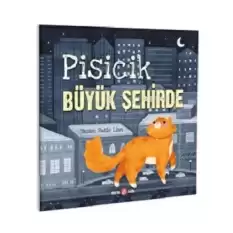 PİSİCİK BÜYÜK ŞEHİRDE