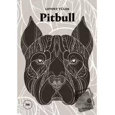 Pitbull