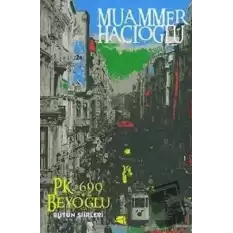 P.K.690 Beyoğlu (Bütün Şiirleri)