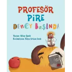 Profesör Pire Deney Başında