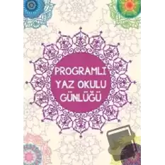 Programlı Yaz Okulu Günlüğü