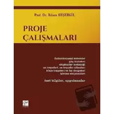 Proje Çalışmaları (Ciltli)