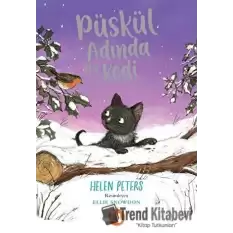 Püskül Adında Bir Kedi