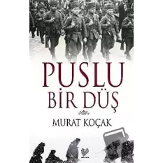 Puslu Bir Düş