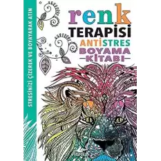 Renk Terapisi