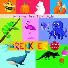 Renkler (Board Book)