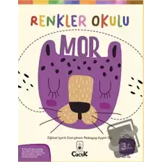 Renkler Okulu Mor