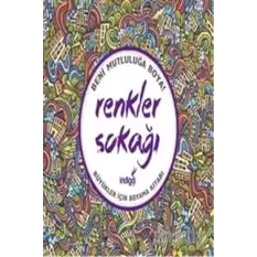 Renkler Sokağı : Büyükler İçin Boyama Kitabı