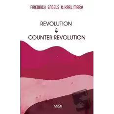 Revolution and Counter Revolution