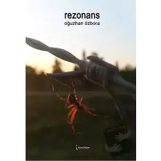 Rezonans