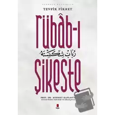 Rübab-ı Şikeste