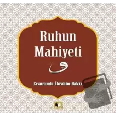 Ruhun Mahiyeti