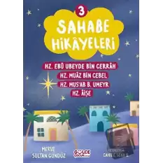 Sahabe Hikayeleri 3. Kitap