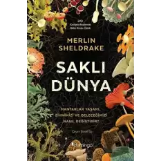 Saklı Dünya