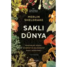 Saklı Dünya