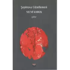 Şapinuva Güzellemesi