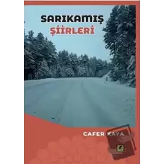 Sarıkamış Şiirleri