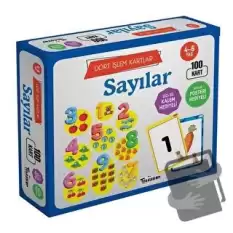 Sayılar 4 - 6 Yaş Dört İşlem Kartlar