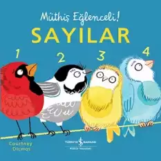 Sayılar – Müthiş Eğlenceli! (Ciltli)