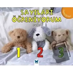 Sayıları Öğreniyorum - Evde