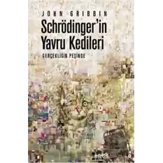 Schrödinger’in Yavru Kedileri