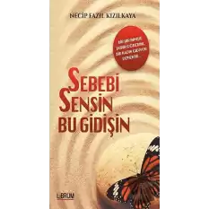 Sebebi Sensin Bu Gidişin