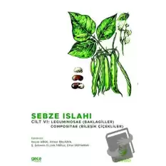 Sebze Islahı Cilt Vı