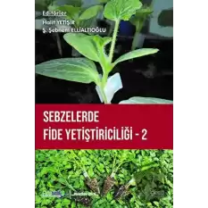 Sebzelerde Fide Yetiştiriciliği 2