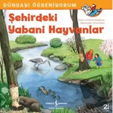 Şehirdeki Yabani Hayvanlar - Dünyayı Öğreniyorum