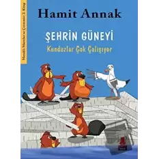 Şehrin Güneyi : Kunduzlar Çok Çalışıyor