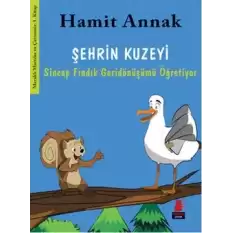 Şehrin Kuzeyi : Sincap Fındık Geridönüşümü Öğretiyor