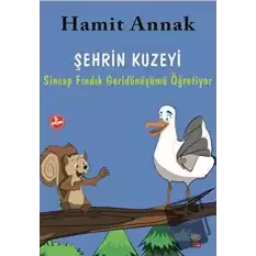 Şehrin Kuzeyi : Sincap Fındık Geridönüşümü Öğretiyor